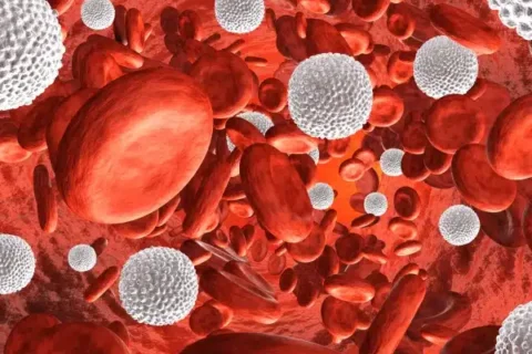 Hématologie