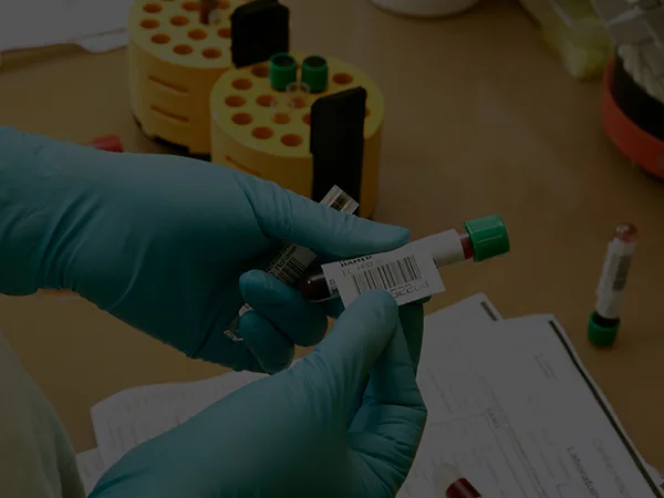 labotarga-service-02